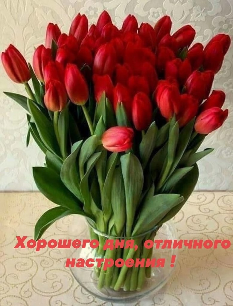   ,    . - 26  2023  17:16 - 2