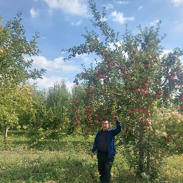 ���, ������, 46 ���