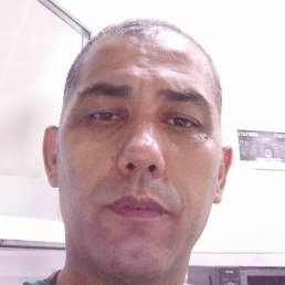 , , 51 