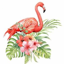 ����, ������������, 30 ���