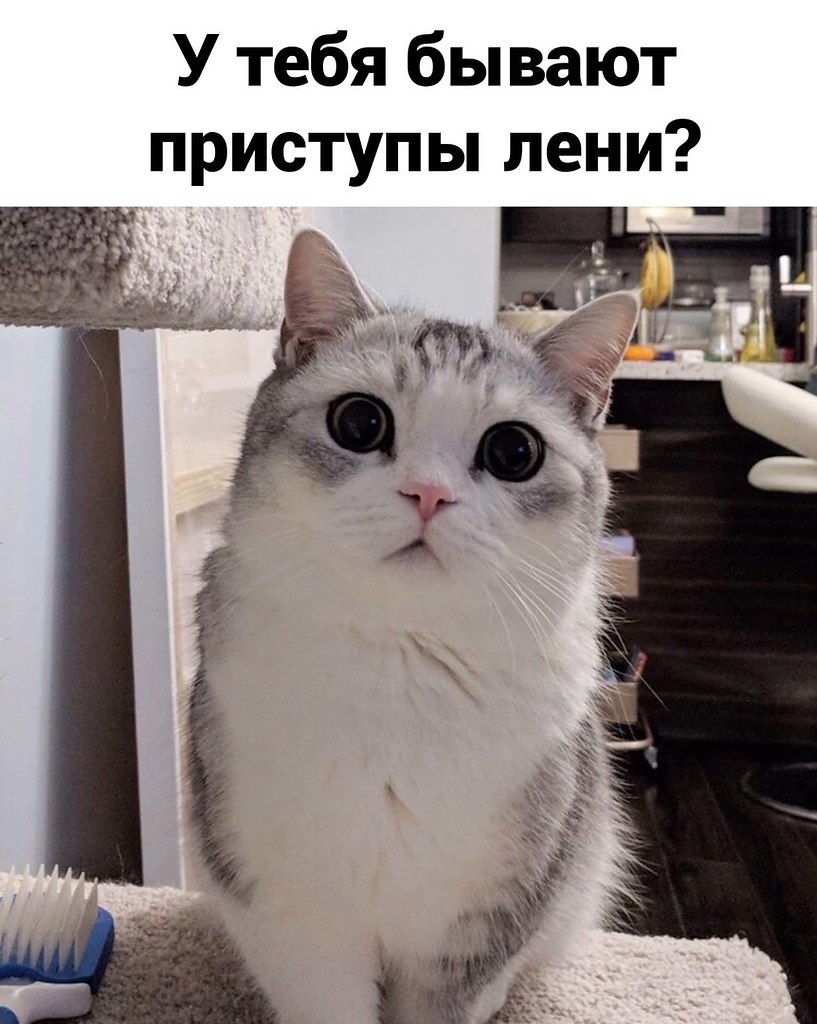    )