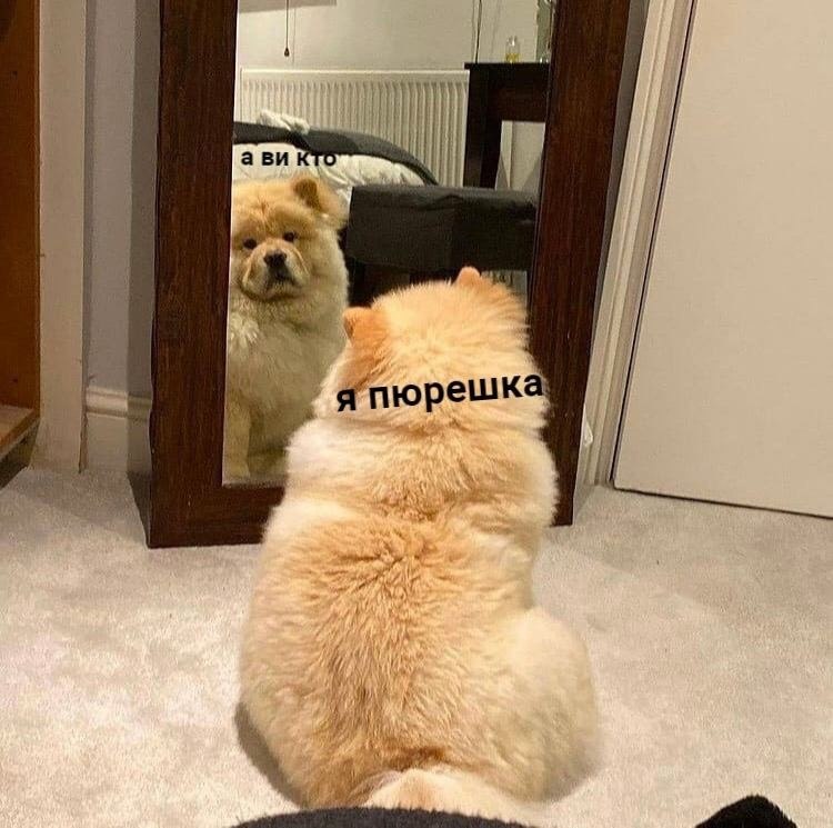    - 9  2023  14:22