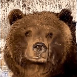 ���� ������, ����-�����������, 42 ���� - ��������� 16 ��� 2023