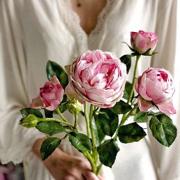 ����, ������, 40 ���