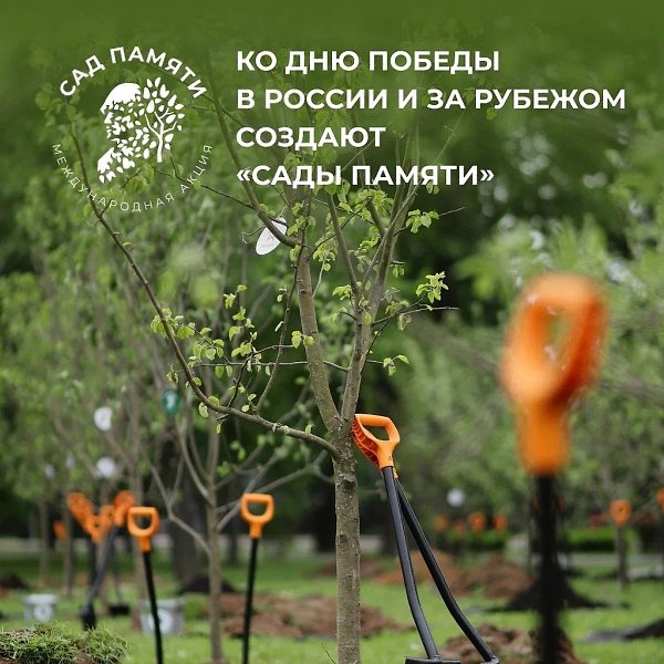 Высади дерево в память о своем герое – защитнике Отечества. Присоединяйся к акции #СадПамяти, цель ...