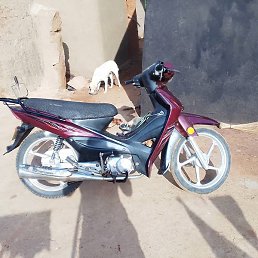 Ayaabil Michael, �����������, 31 ���