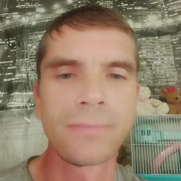 �����, ����, 44 ����