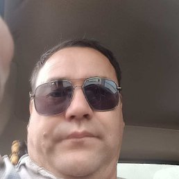 ���, ������, 41 ���