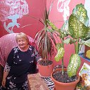 ���� �������, ������, 66 ��� - ��������� 9 ���� 2023