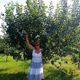 ����, ������, 63 ����