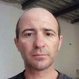 �����, �����-���������, 48 ���