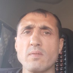 �����, ������, 42 ����