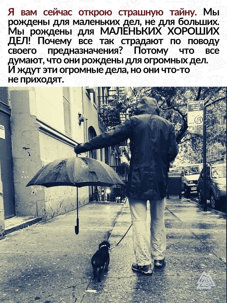          ,  , ...