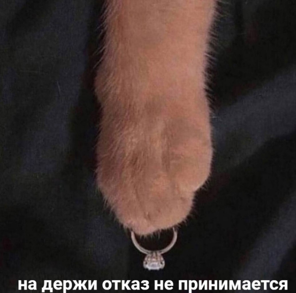    - 21  2023  16:16
