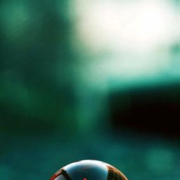 ���� Daniel, ������������, 38 ��� - ��������� 22 ������� 2023