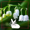 ���� ������, ���������, 68 ��� - ��������� 16 ������ 2023 � ������ ���� ����������