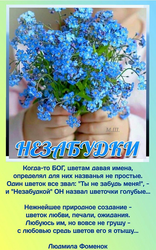   ,    . - 13  2023  23:53