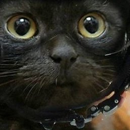 ���������, ����, 58 ���