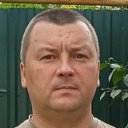 ����, ������, 46 ���