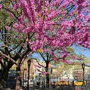���� Nazokat, �����, 29 ��� - ��������� 5 ������ 2023 � ������ ���� ����������