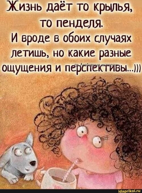  - 2  2023  20:50