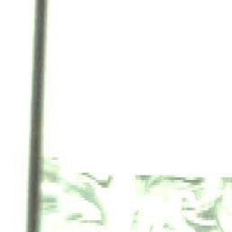 Exugt@any.pink, ������