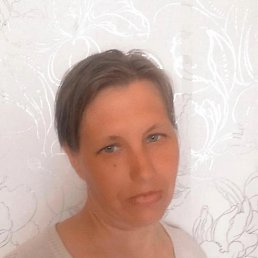 , 41 , -