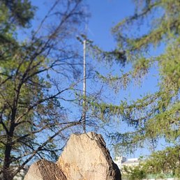 ������, ������, 47 ���