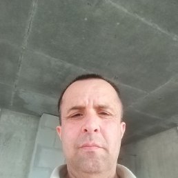 ���� �����, ������, 54 ���� - ��������� 2 ������� 2023