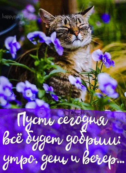   - 10  2023  07:52