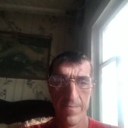 , 53 , 