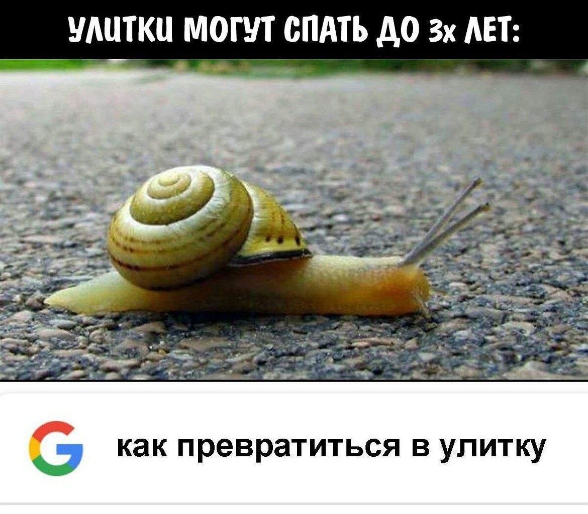    - 6  2023  04:17