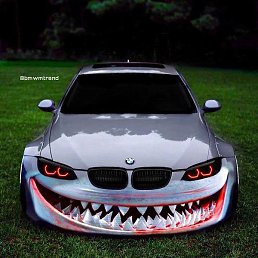 ����, �����, 43 ����