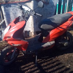 ��������, ������, 38 ���