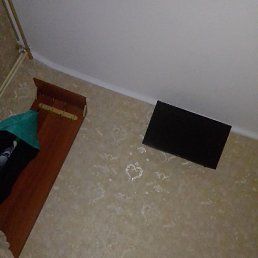 �����, ������, 56 ���