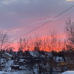 ����, �����, 41 ���