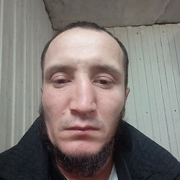 ��������, ������, 41 ���