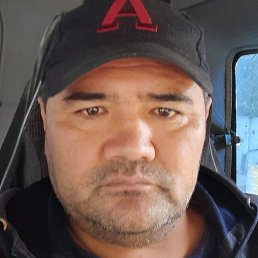 �����, ������, 44 ����