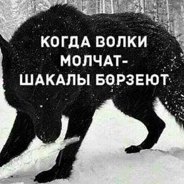 �����, �����������, 55 ���