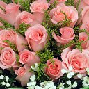 ���� ������, �����, 38 ��� - ��������� 13 �������� 2023 � ������ ���� ����������