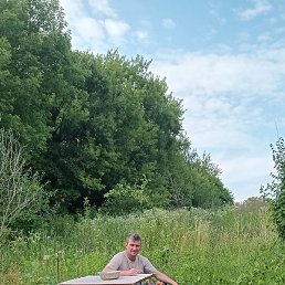 ����, ������, 44 ����