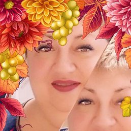 ����, ���������, 49 ���