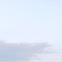 ������, ������, 49 ���