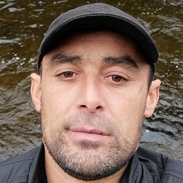 �����, ����������, 41 ���