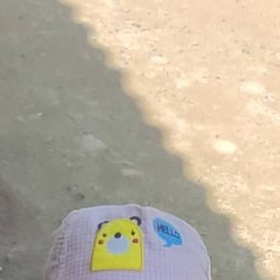 ��������, ������, 56 ���