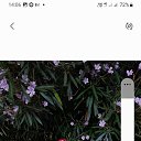 ���� ��������, ������, 60 ��� - ��������� 12 ������� 2023 � ������ ���� ����������