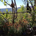 ���� Rezo, �������, 70 ��� - ��������� 7 ������� 2023 � ������ ���� ����������