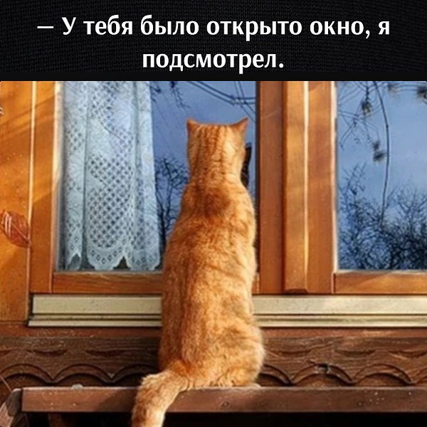       - 12  2023  18:06 - 3
