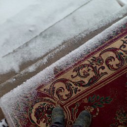 ���� �����, �����������, 69 ��� - ��������� 25 ������� 2023