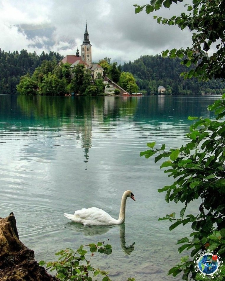 ����, ��o�����